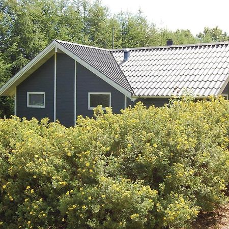 Pet Friendly Home In Oksbol With Wifi Extérieur photo