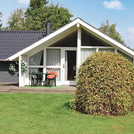 Pet Friendly Home In Oksbol With Wifi Extérieur photo
